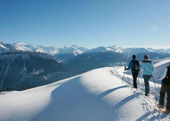 Maze B 10 By Interhome *